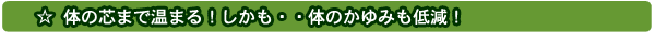 �����C�̐V�A�C�e���I�A�g�s�[�E���ہA�}�C�i�X�C�I���Ɍ��ʂ��I