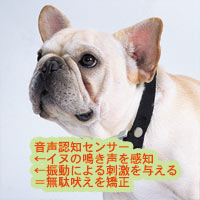 ムダ吠え防止 ラブリーワン・プチ、愛犬のしつけに最適