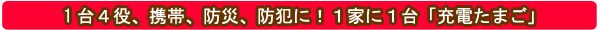 �[�d���܂��@�i�h�Зp���W�I�����C�g�t���[�d��j