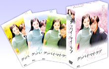 アン・ジェウク主演 「グッバイマイラブ」 DVD-BOX1.2セット