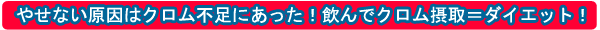 �_�C�G�b�g�X�[�v�@�N�����p���[