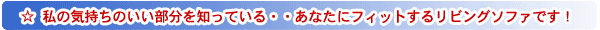 �X���C�u�}�b�T�[�W�`�F�ACHD�|831 ���났�w���