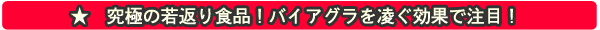 �X�[�p�[�}�JEX100�A�}�J�������I���R�̋��s�܁I