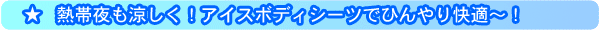 �A�C�X�{�f�B�V�[�c�ŉ��K�����I