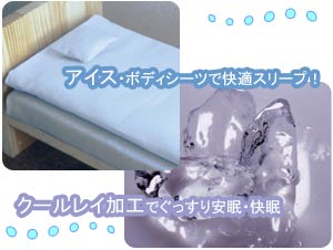 �A�C�X�{�f�B�V�[�c�ŉ��K�����I