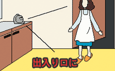 �G�R�p�Q �k�d�c�Z���T�[���C�g