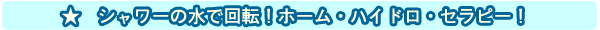 �V�����[�w�b�h�@�Z���N�����Y�Ńz�[���G�X�e�I