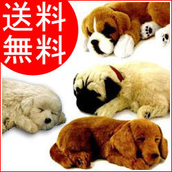 �ѡ��ե����ȥڥå� Perfect Petzzz