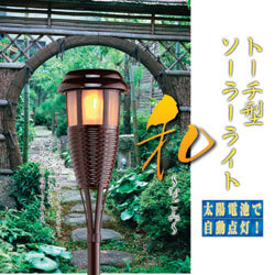 �ȡ����������顼�饤�ȡ��¡�2�ܥ��å�