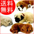 �ѡ��ե����ȥڥå� Perfect Petzzz