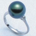 ϻ�ÿ����ǰ� ��ĳ���ҥ������11mm�� Pt�����������