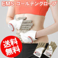 �䡼�ޥ� EMS ������ǥ󥰥�����