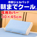 ��ī�ޤǥ��������ȿȯ��ѥ�����ѥå� ���ѥ��С� 30��45cm